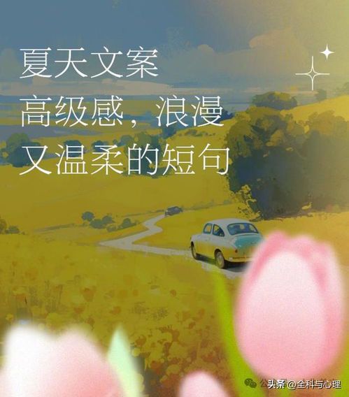 夏日奔跑·清爽时光