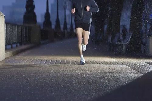 晨跑与夜跑:古人智慧与现代科学的对话