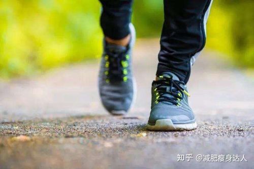 跑步早上跑还是晚上跑,哪个更有利于减肥?
