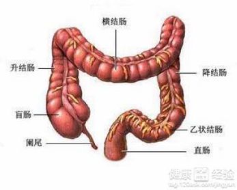 跑步对抑制直肠癌复发的影响