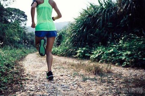 跑步真的能降低患癌风险吗?科学解析运动与癌症的关系