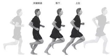 跑步的正确姿势与要领:科学跑步指南