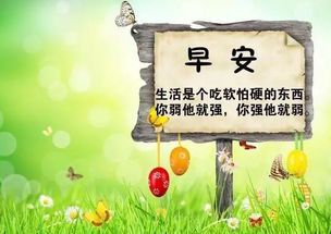 奔跑的力量：用脚步丈量梦想