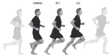 跑步拉伸运动视频教程循环播放指南
