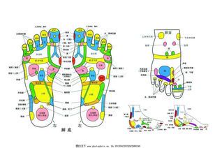 脚疼痛部位对照表及常见原因解析