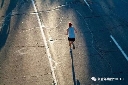 每天坚持跑步5公里,半年后身体会发生哪些神奇变化?