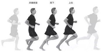 跑步时膝盖疼痛的常见原因及应对方法(女性篇)