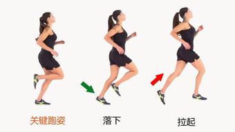 跑步的正确姿势与动作详解