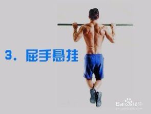 20岁跑步能长高吗?科学解析与实用建议
