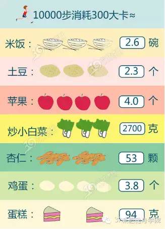 每天走多少步才能有效减肥?科学步数指南