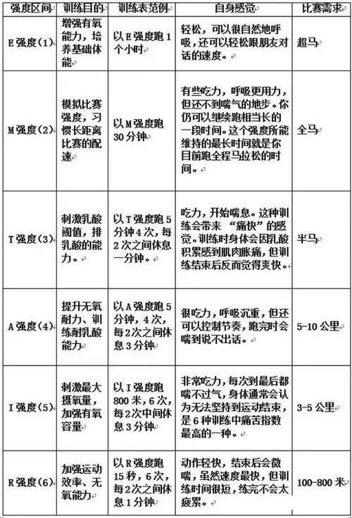 跑步心率过高的潜在危害及应对措施