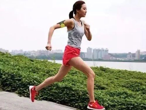 跑步与明星:健康生活的双重魅力