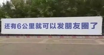 奔跑的力量:用脚步丈量生活的美好