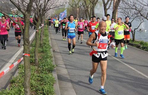 跑步赛事名称大全:从经典到创意一网打尽