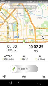 跑步记录新体验：荣耀跑步软件如何精准记录你的每一步