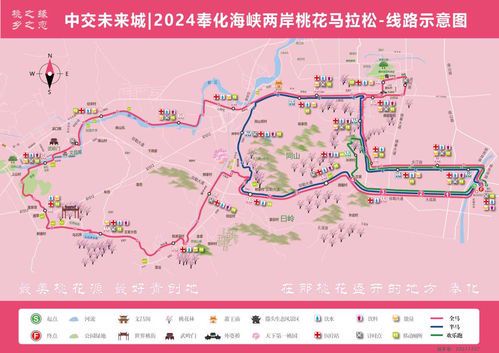 健康跑者的路线图案规划指南