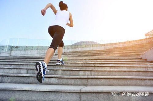 跑步属于无氧还是有氧运动?