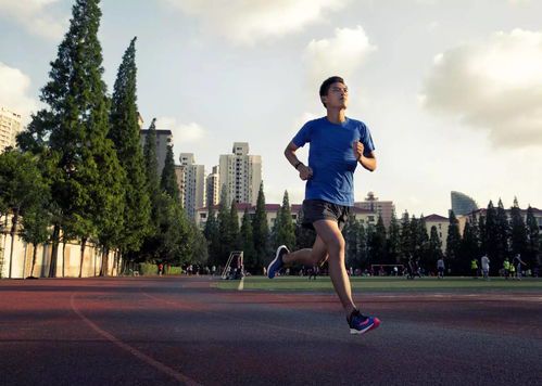 夏季跑步减肥:伏天运动的科学指南