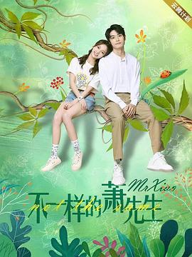 不一样的萧先生电视剧全24集