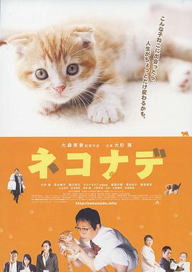 小猫奇缘电影HD中字版