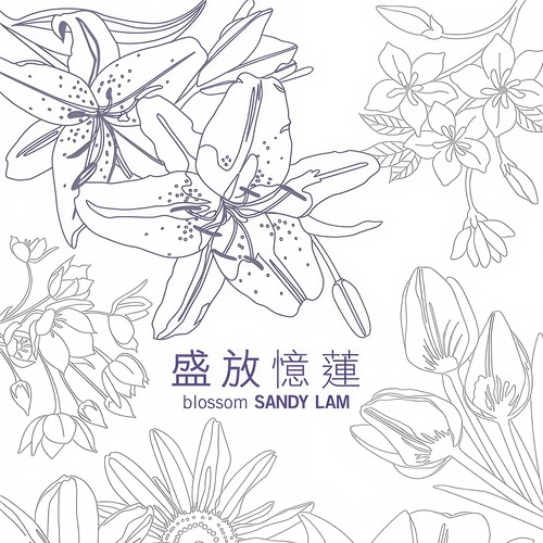 邂逅歌词-林忆莲