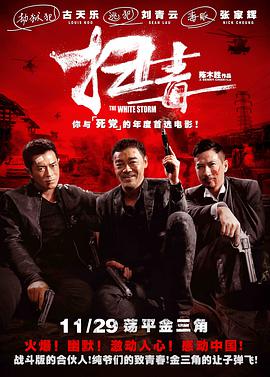 扫毒电影HD国语版