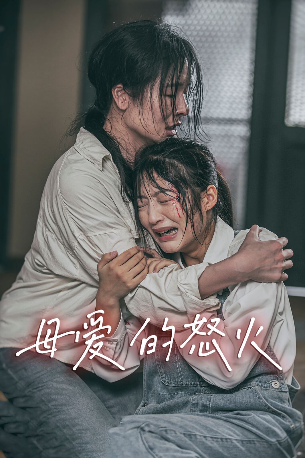 母爱的怒火短剧全28集
