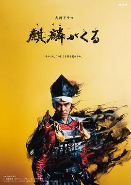 麒麟来了电视剧全44集