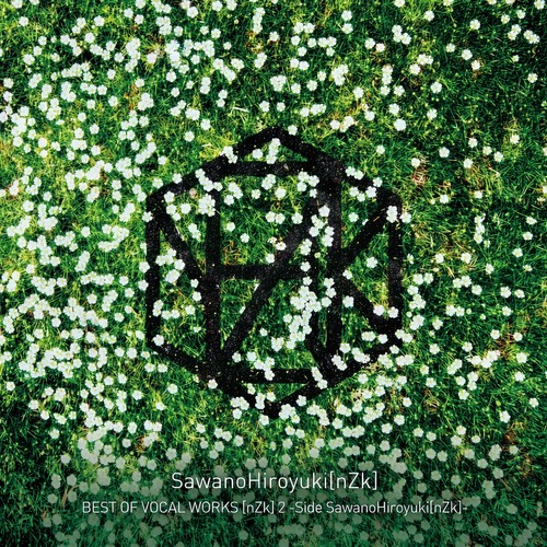 Into the Sky (Remaster)歌词-SawanoHiroyuki[nZk] (泽野弘之) / Tielle