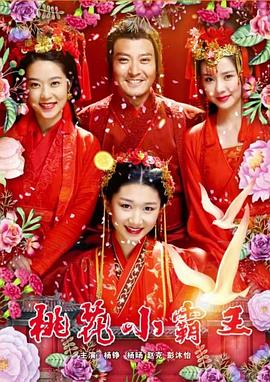 桃花小霸王电影HD国语
