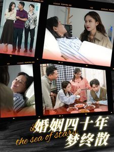 婚姻四十年梦终散短剧全31集