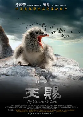 天赐电影正片