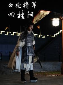 白袍将军回桂阳短剧全36集
