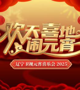 2025辽宁卫视元宵晚会综艺HD国语