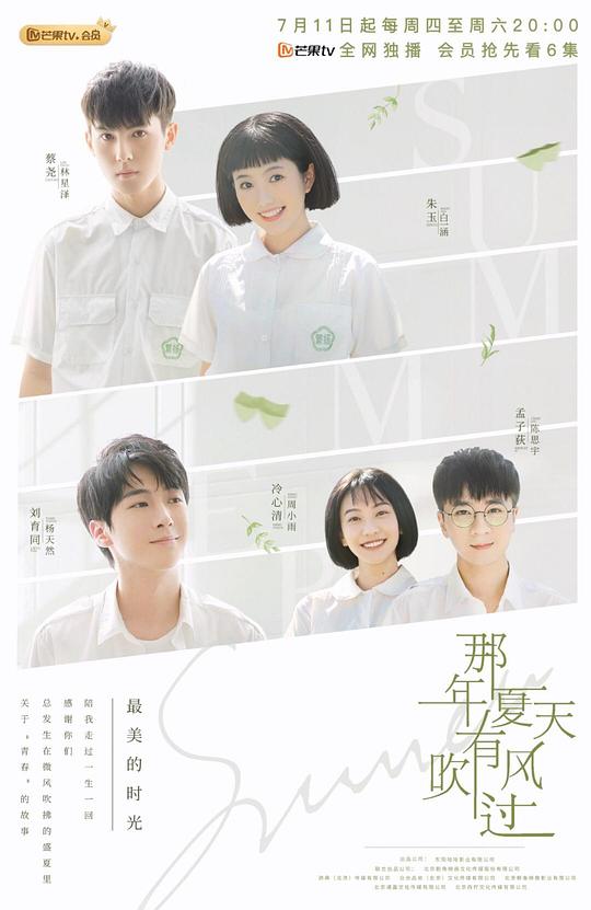 那年夏天有风吹过电视剧全27集