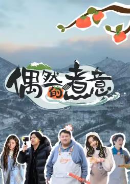偶然的煮意综艺全10期