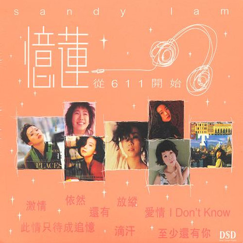 此情只待成追忆歌词-林忆莲 / 伦永亮