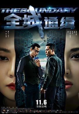 全城通缉电影HD国语版