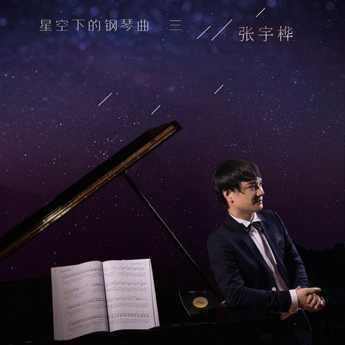 那些飘落的花歌词-张宇桦