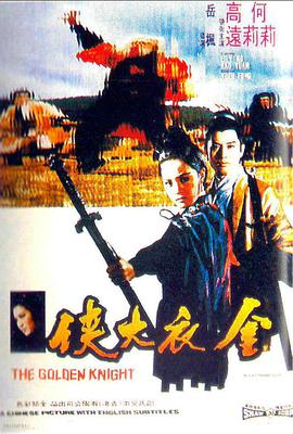 金衣大侠电影HD国语版