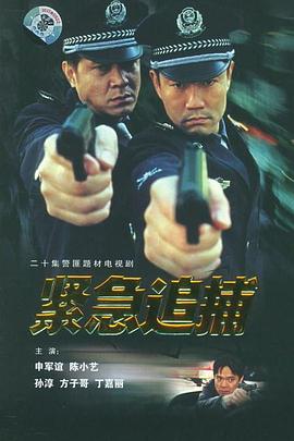 紧急追捕电视剧全20集