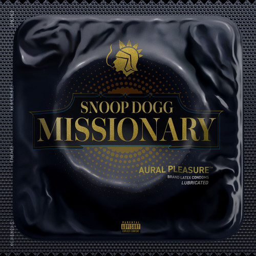 Now Or Never (Instrumental)歌词-Snoop Dogg / Dr. Dre / BJ The Chicago Kid