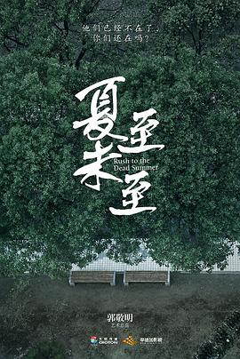 夏至未至电视剧全48集