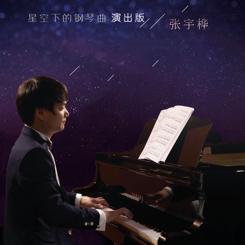那些年过往的人 (演出版)歌词-张宇桦