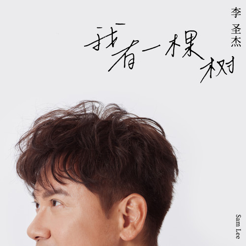 我有一棵树歌词-李圣杰