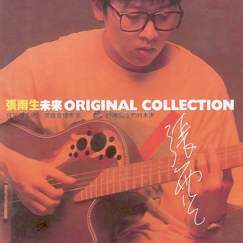 灵光歌词-张雨生