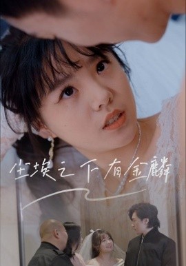 尘埃之下有金鳞短剧全59集