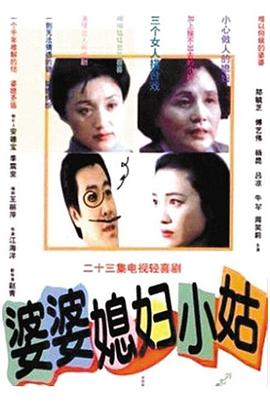 婆婆媳妇小姑电视剧全23集