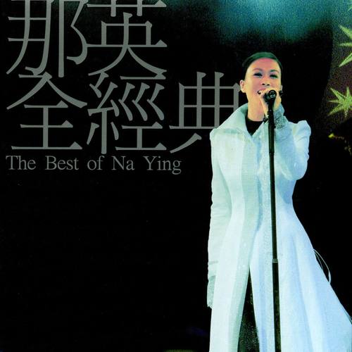 白天不懂夜的黑 (Live)歌词-那英