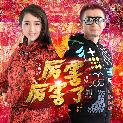厉害厉害了 (伴奏)歌词-龙梅子 / 老猫